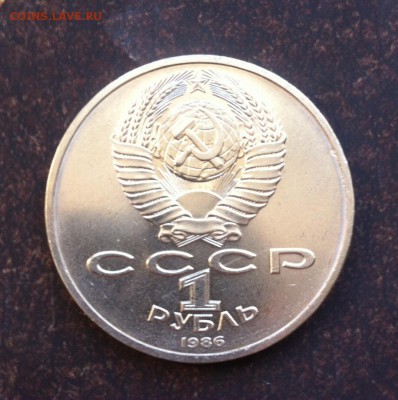 Год мира Шалаш - image