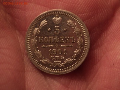 5 копеек 1901 отличная до 5.1.16 в 22.10 - DSC02799.JPG