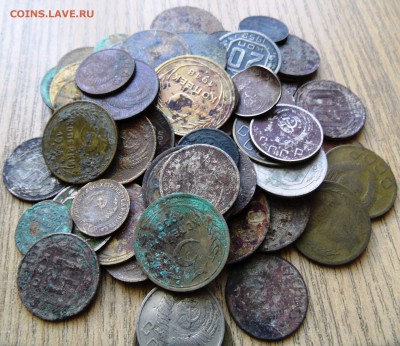 60 штук ранних советов на опыты до 9.01.2016 - SAM_4225.JPG