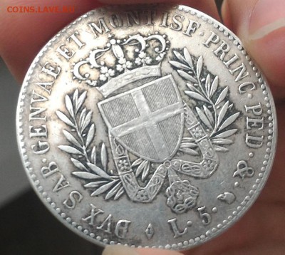5 лир 1821 - 11.JPG