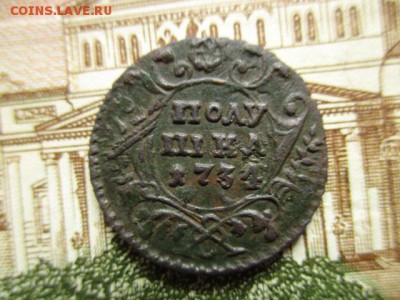 Полушка 1734г. Красивая. До 9.01.2016 в 22:00 по Москве. - IMG_1664.JPG