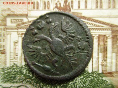 Полушка 1734г. Красивая. До 9.01.2016 в 22:00 по Москве. - IMG_1666.JPG