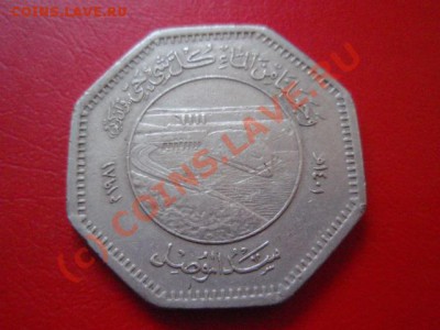 Ирак 250 филсов 1981 ФАО до 29.09 в 21.00 М - P9254507.JPG
