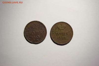 Полушки оценка - IMG_5165_thumb