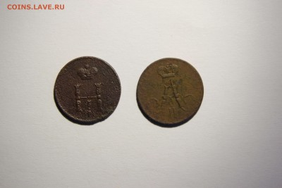 Полушки оценка - IMG_5167_thumb
