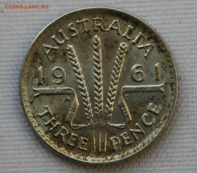 С 1 руб. АВСТРАЛИЯ 3 пенса  1961г. до 11.01 в 22-00 - IMG_9356.JPG