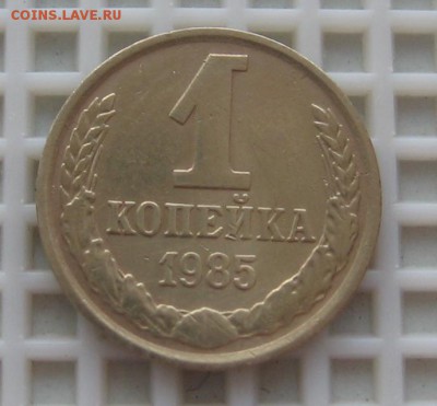1 КОП.1985-возможно червячок; 10 КОП.1991(Л) ПОДСКАЖИТЕ! - IMG_4246_cr