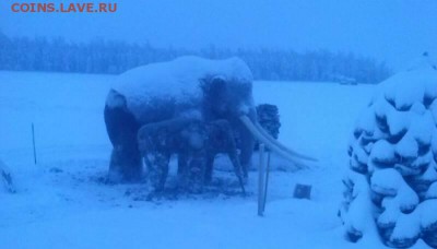 Скульптуры из балбаха и прочее! Балбах - навоз як. - Мамонты