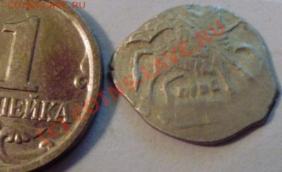 чешуйка на опознание - P9200031.JPG