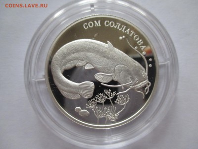 2Р 2014 СОМ СОЛДАТОВА 10 1 16 22 00 МСК - IMG_0237.JPG