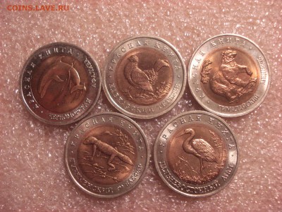 Красная книга 1993 год - все пять монет - Unc, блеск. - DSC05141.JPG