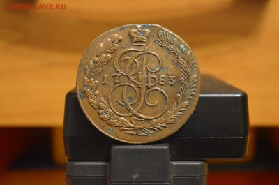 6 медных пятаков оцените - DSC_0183.JPG