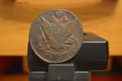 6 медных пятаков оцените - DSC_0169.JPG