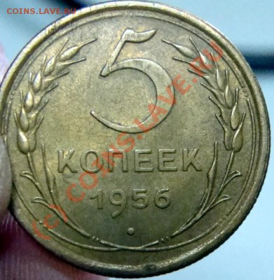 5 копеек 1956 приятный до 2.10 - 0 203