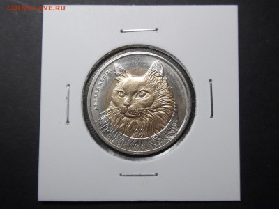 1 лира Турция  2010 года. Кот №1 Unc. До ухода в архив - SAM_3230.JPG