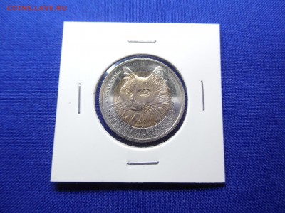 1 лира Турция 2010 года. Кот №2 Unc. До ухода в архив - SAM_3181.JPG