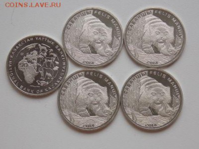 Казахстан 50 тенге 2014 Манул UNC Фикс - manul 1.JPG