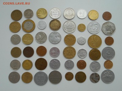 Иностранщина на оценку - DSCN0854