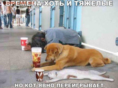 Всем мои поздравления. Рублю - похоже, кирдык! - 1 vbcc55