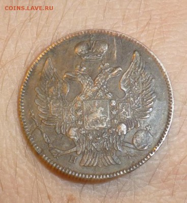 5 копеек 1851, 1828 и 20 копеек 1838 года - P1050382.JPG