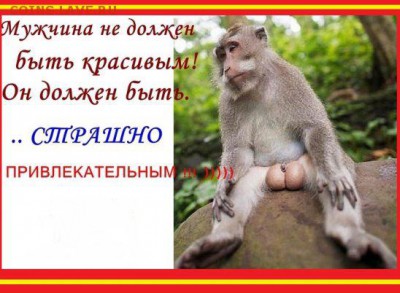 Хамство и минус от frenz - обезъян