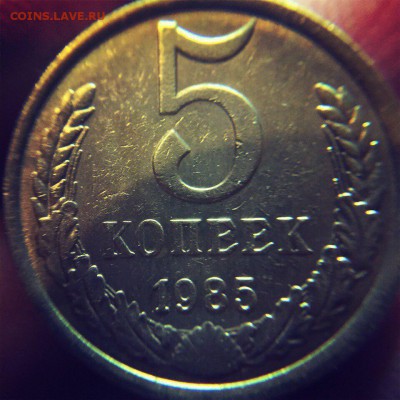 5 коп 1985 - image
