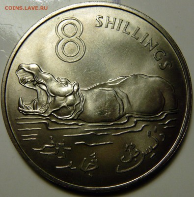 Гамбия 8 шиллиногов UNC - P1130963.JPG