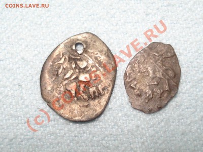 Помогите определить 2 чешуйки - 2.JPG