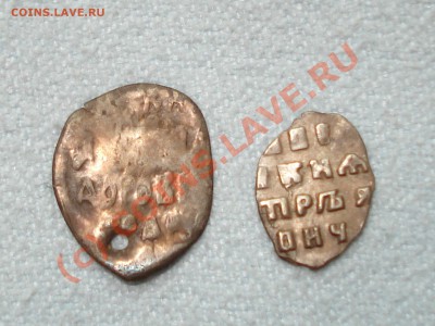 Помогите определить 2 чешуйки - 4.JPG