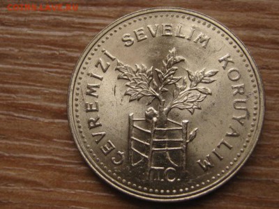 Турция 1000 лир 1990 дерево  до 11.01.16 в 21.00 М - IMG_5444.JPG