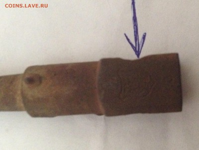 помогите определить что это ? - IMG_0016.JPG