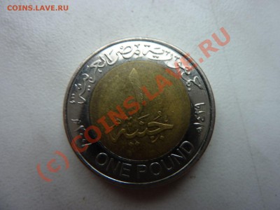 С Рубля 1Фунт Египет до 1.10.10 в 22-00 - MEMO0008_picnik