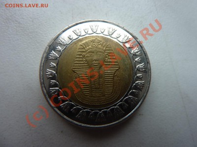 С Рубля 1Фунт Египет до 1.10.10 в 22-00 - MEMO0009.JPG