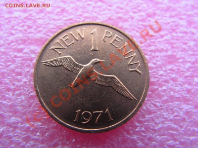 -Гернси- 1 цент 1971 -- 4 октября 22-00 (фауна) - PICT0800.JPG