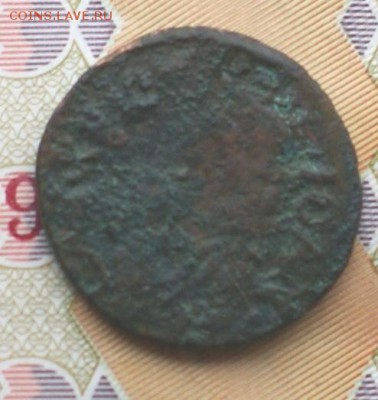 Боратинка 1661 на оценку - DSC05595.JPG