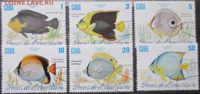 Марки Америки. Куба "Рыбы" - Рыбы.JPG