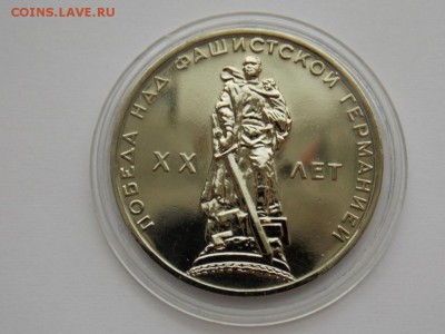 Первые пять - DSCN1550.JPG