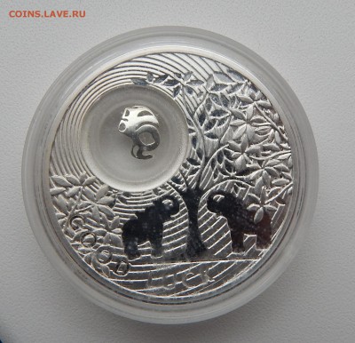 1 ДОЛЛАР2011 ПРУФ СЛОНИК серия(монеты на счастье)до 13.01.16 - DSCN2881.JPG
