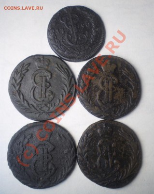 5 к кольцевик 1806 КМ +  редкий бонус до 6.00 30.09 МСК - P9280596.JPG