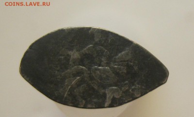 Чешуя на определение и оценку - IMG_5025.JPG