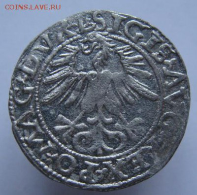 Полугрош 1561 г. состояние (короткий аук) 22-00 13.01.2016 - DSC00064.JPG