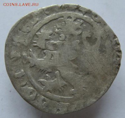 Пражский грош (короткий аук с блицем) 22-00 13.01.2016 - DSC00001.JPG