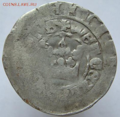 Пражский грош (короткий аук с блицем) 22-00 13.01.2016 - DSC00008.JPG