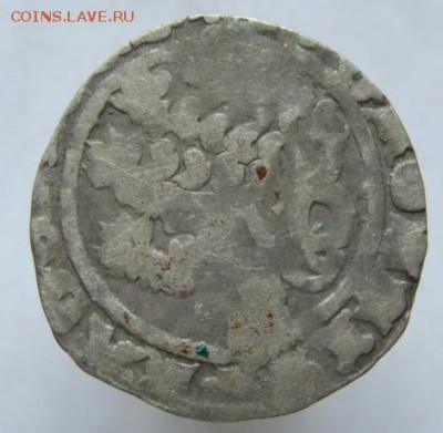 Пражский грош (короткий аук с блицем) 22-00 13.01.2016 - DSC00011.JPG