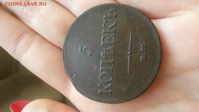5 копеек 1833 фх до 15.01.16 22-00 - 20160110_104109
