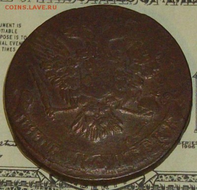 б. Елизавета. до 14.01. Коричневая. - IMGP8665.JPG