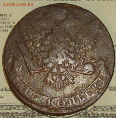 б. Елизавета. до 14.01. Коричневая. - IMGP8666.JPG