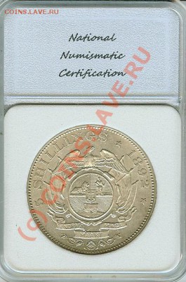 Республика Трансвааль. - 28911r