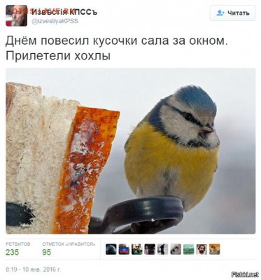 События на Украине. - 1 hohol2