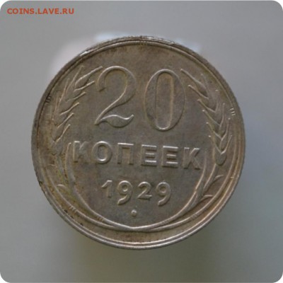 20 копеек 1929 год. До 17.01.16. - DSC_1082.JPG